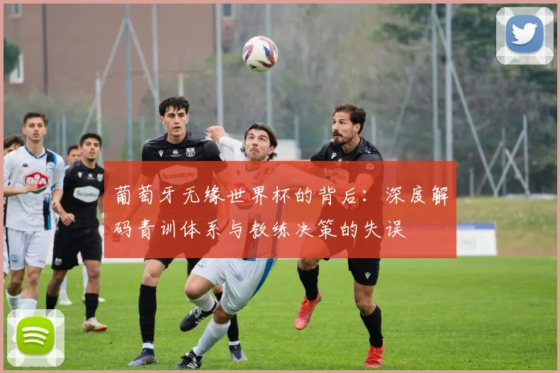 葡萄牙无缘世界杯的背后：深度解码青训体系与教练决策的失误