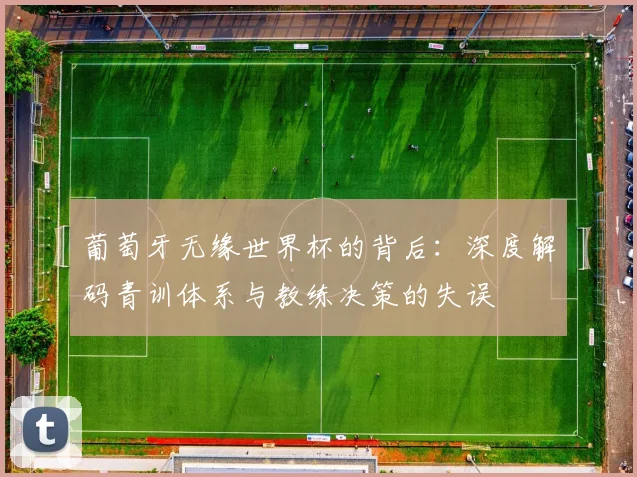 葡萄牙无缘世界杯的背后：深度解码青训体系与教练决策的失误